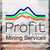 Profit Mining' Profile