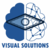 Visual Solutions' Profile
