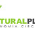 NaturalPlas Economía Circular' Profile